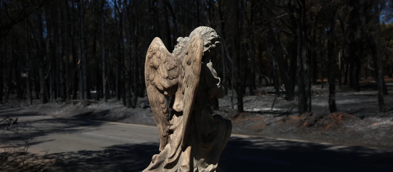 Αττική: Η φωτιά τους έκαψε και το πλιάτσικο τους αποτελειώνει - Το καρέ της καταστροφής - Ζώα και σπίτια έγιναν στάχτη